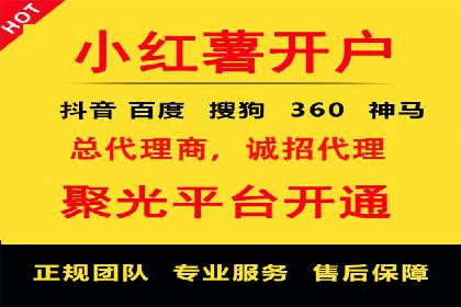 SEM托管服务实战案例：打造高效广告投放策略